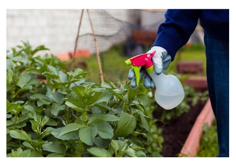 Fulfill your landscape requirement with us!