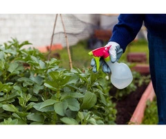 Fulfill your landscape requirement with us!