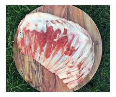 Raw Feeding for Mass Gain Dogs | RogueRaw