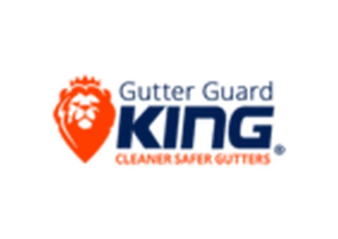 Comparing the Best Gutter Protection Options for Your Roof