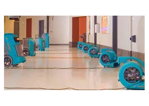 Water damage restoration Annandale-wide from Drytech