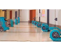 Water damage restoration Annandale-wide from Drytech