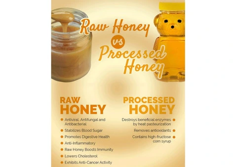 Sustainable Beekeeping Business : Why support your local Beekeepers?