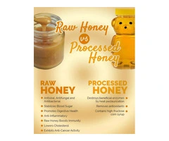 Sustainable Beekeeping Business : Why support your local Beekeepers?