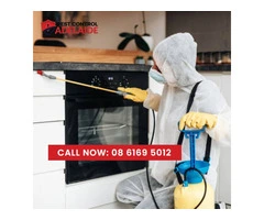 Discover Pest Extermination Services in Adelaide