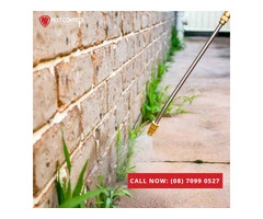 Top Pest Control Services in Perth