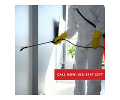 Pest Control Experts in Canberra