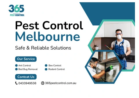 Effective Pest Control Services in Melbourne | Safe & Reliable Solutions