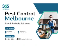 Effective Pest Control Services in Melbourne | Safe & Reliable Solutions