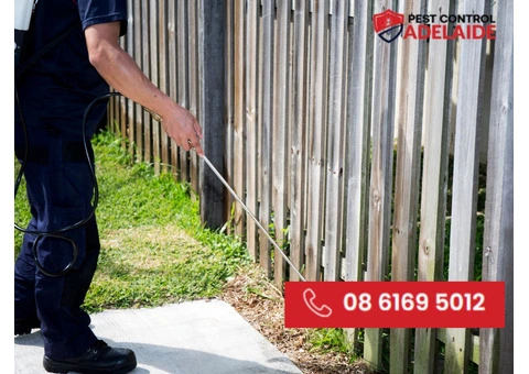 Leading Pest Removal Services in Adelaide
