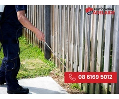 Leading Pest Removal Services in Adelaide