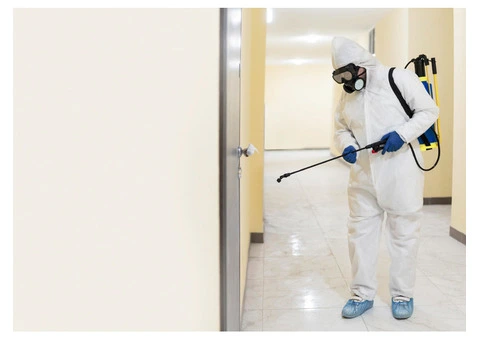 Worried Because The Hidden Termite Has Not Been Detected?