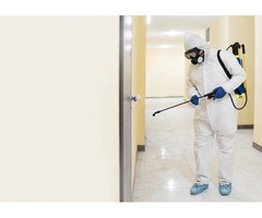 Worried Because The Hidden Termite Has Not Been Detected?