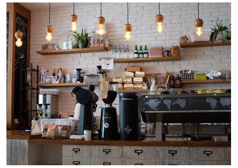 Protect your Business with the Best Commercial Pest Control in Perth