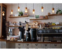 Protect your Business with the Best Commercial Pest Control in Perth