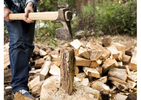 Expert Stump Removal in Adelaide