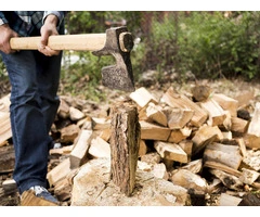 Expert Stump Removal in Adelaide