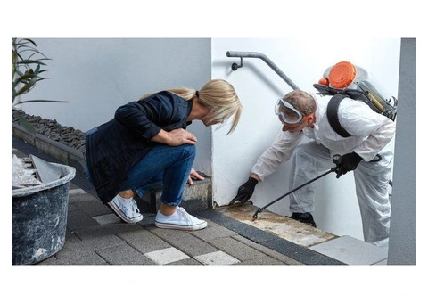 Effective Commercial Pest Control Services in Brisbane