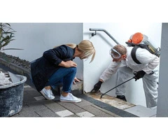 Effective Commercial Pest Control Services in Brisbane