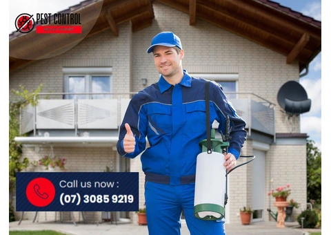 Home Insect Control in Gold Coast – Keep Unwanted Guests Out!