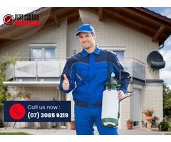 Home Insect Control in Gold Coast – Keep Unwanted Guests Out!