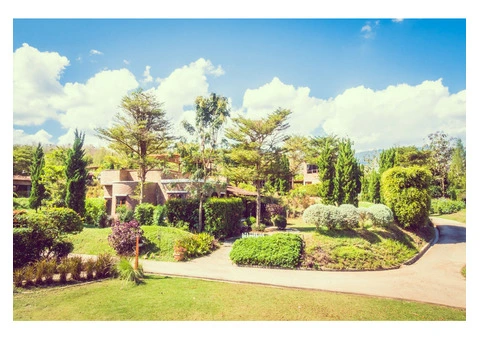 Enhance Your Outdoor Space with Top Garden Edging Solutions in Adelaide