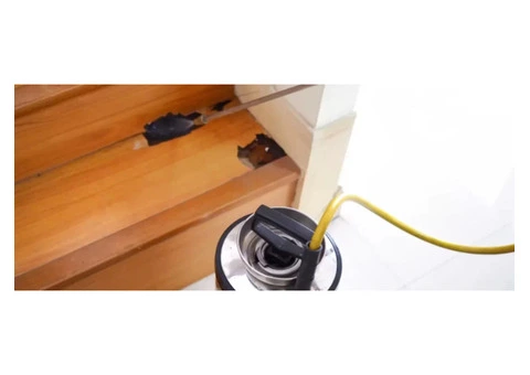 Termite Inspections Gold Coast