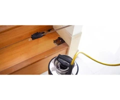 Termite Inspections Gold Coast