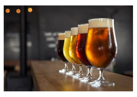 Plastic Beer Glasses in Bulk for You | Personalised Glasses