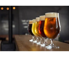 Plastic Beer Glasses in Bulk for You | Personalised Glasses