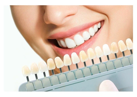 Picton Dental Clinic