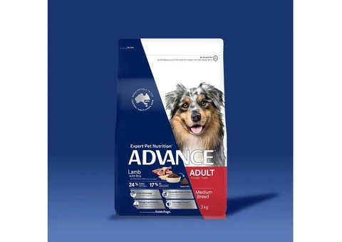 Nutritious Rich & Premium Food for Dogs-PetNest - 1/5