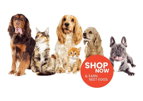 Nutritious Rich & Premium Food for Dogs-PetNest - 3/5