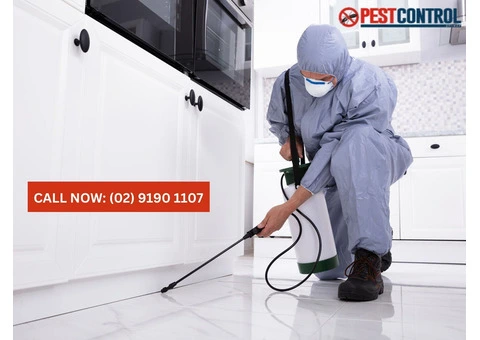 Sydney's Trusted Residential Pest Control Services for Your Home