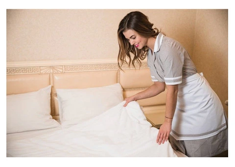 Pristine Mattress Cleaning Service