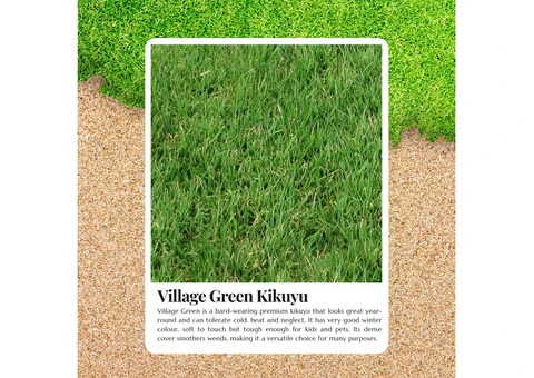 Kikuyu Lawn Price  Can Enhance Your Yard