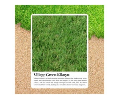 Kikuyu Lawn Price  Can Enhance Your Yard