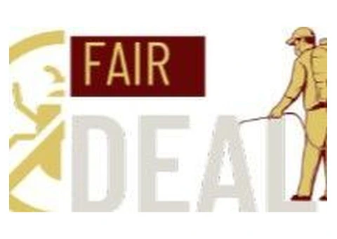 An area free of stings with our wasp nest removal Ealing