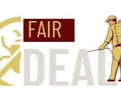 An area free of stings with our wasp nest removal Ealing