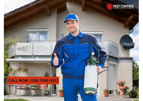 Commercial Pest Control in Perth: Top Solutions