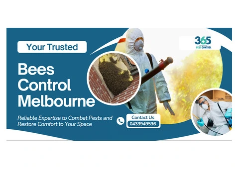 Bees Pest Control Melbourne – Expert Bee Removal Services