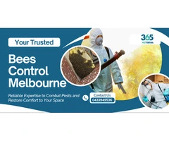 Bees Pest Control Melbourne – Expert Bee Removal Services