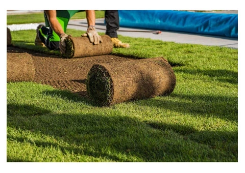 Turf Installation Melbourne