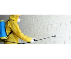 Pest Control Hope Island