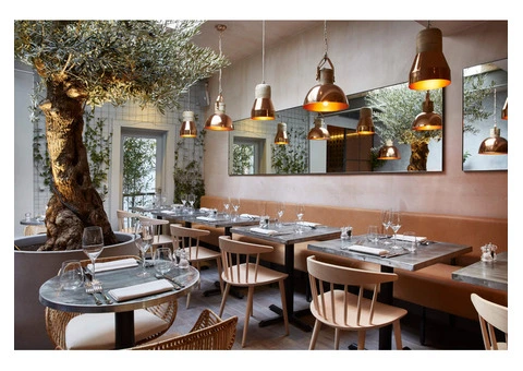 Rocksalt's Guide to a Day in Brighton