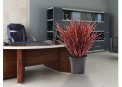 Lightweight Outdoor Pots That Add Style to Your Garden