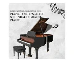 Unleash Your Musical Potential with Alex Steinbach Grand Piano
