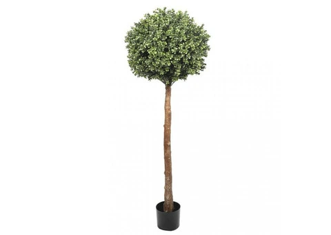 Achieve Sculpted Elegance with Topiary Tree