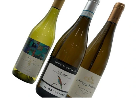 Premium Wine Cellars in Melbourne & South Yarra | Stocked Cellar
