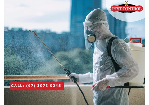 Effective Commercial Pest Control in Brisbane: Call Us Today